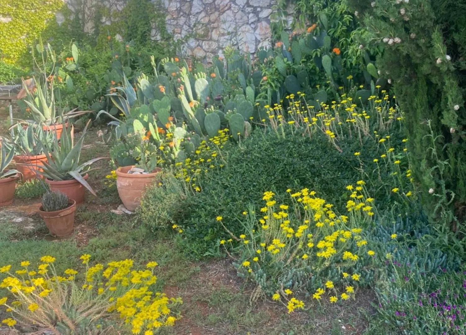 Domos Selene Casa Delle Fate Villa Tinjan