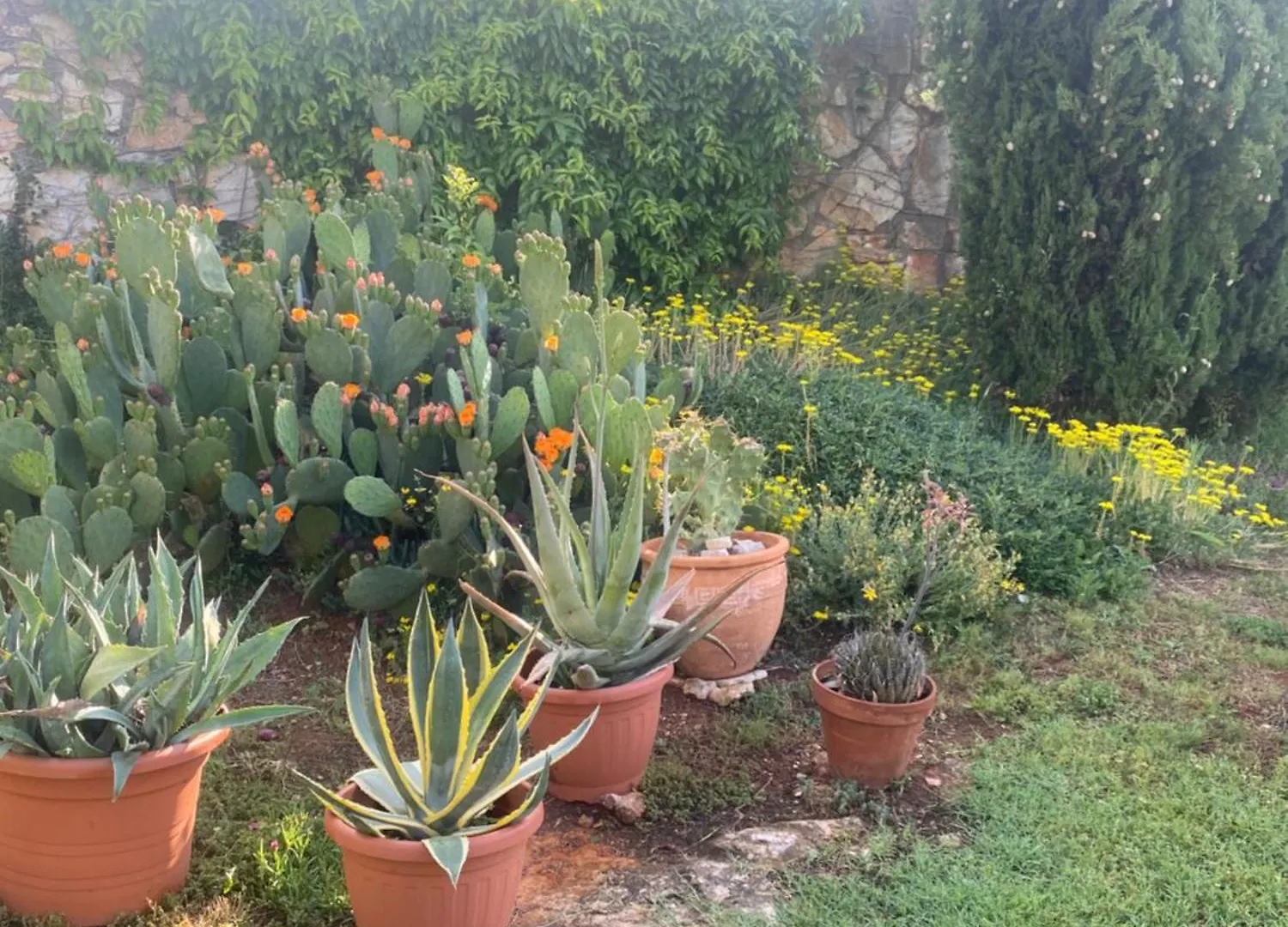 Holiday home Domos Selene Casa Delle Fate Villa Tinjan
