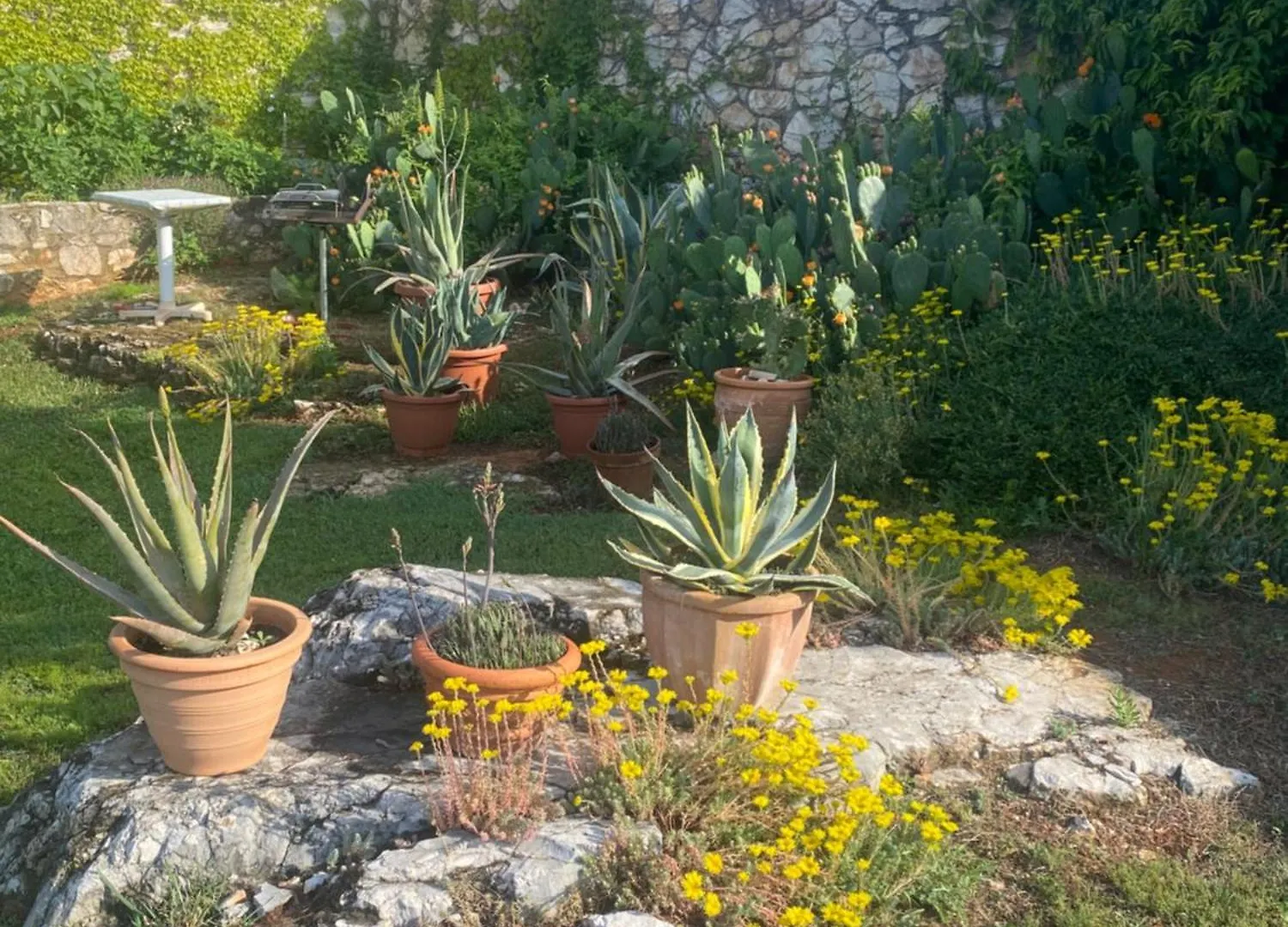 Domos Selene Casa Delle Fate Villa Tinjan