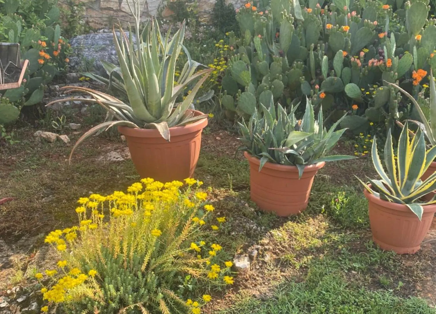 Holiday home Domos Selene Casa Delle Fate Villa Tinjan