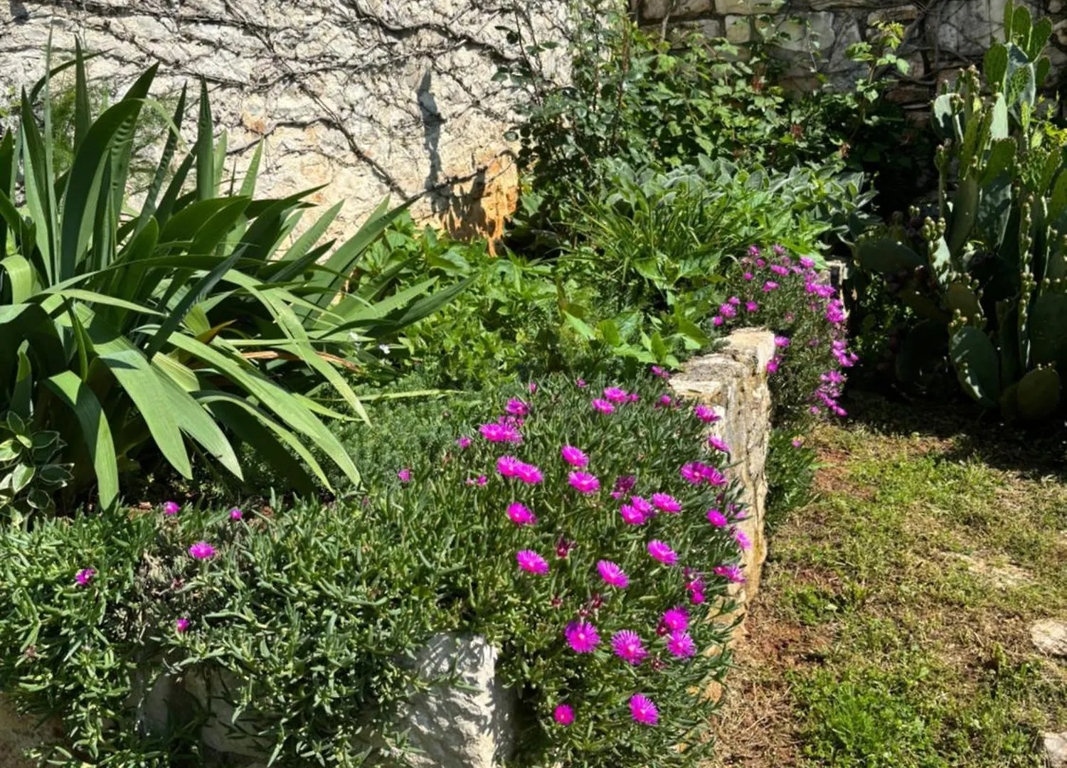 Domos Selene Casa Delle Fate Villa Tinjan Holiday home