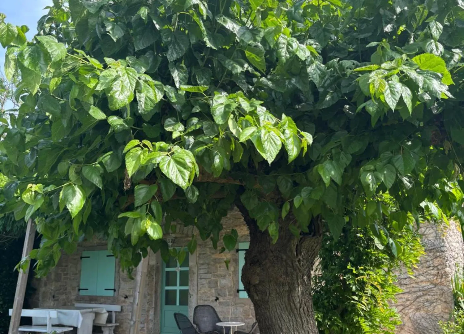 Domos Selene Casa Delle Fate Villa Tinjan